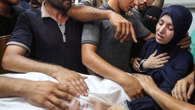 Another Doctor Is Dead in Gaza