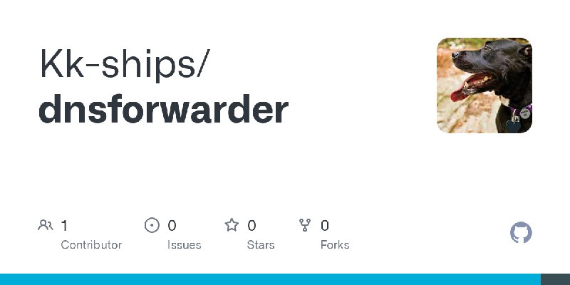 GitHub - Kk-ships/dnsforwarder