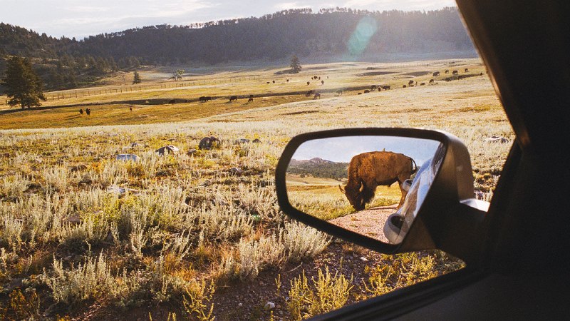 Beverly Gage, a Pulitzer-prizewinning historian, takes the wheel