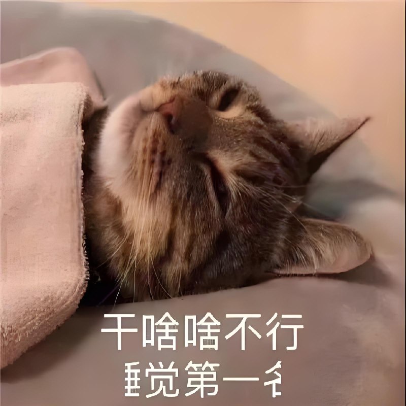 在 Electron 中使用 LiveKit 实现屏幕共享-蚊子的前端博客