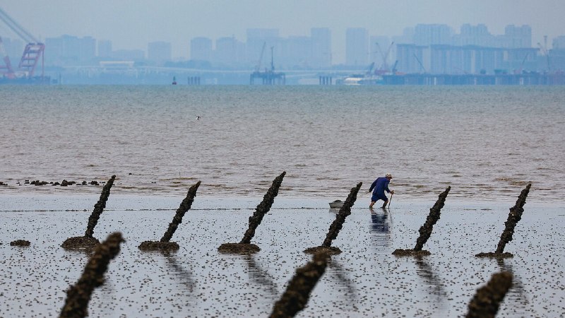 Does the Iran war increase the risk of a Chinese attack on Taiwan?