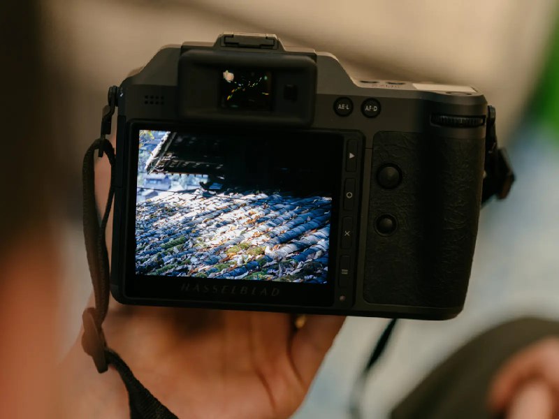 越过参数的凝视：哈苏 X2D II 100C 漫谈 - 少数派