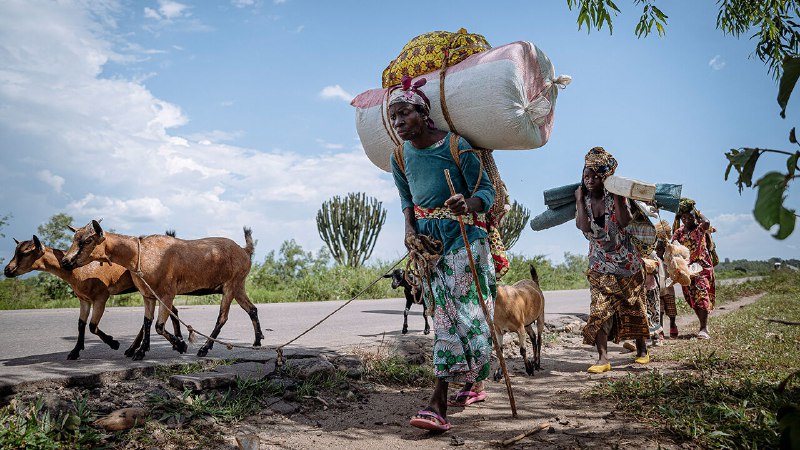 The war in eastern Congo is escalating far from view