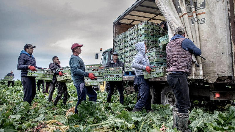 Immigration remains at the forefront of British voters’ minds