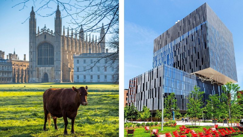 Why Cambridge and Cambridge need each other