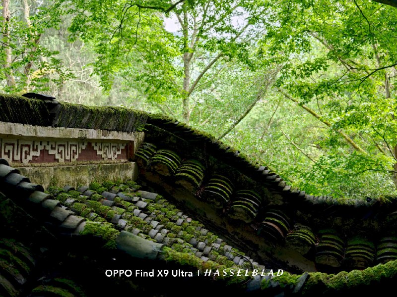 在视频时代，认真拍一张照片：OPPO Find X9 Ultra 影像漫谈 - 少数派