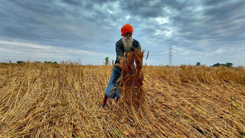 The impending global food shock is preventable