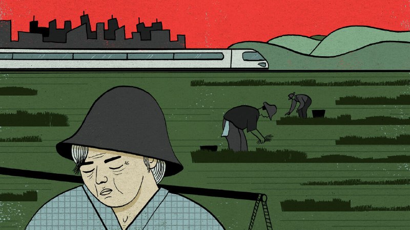 China’s pension failings expose its harshest inequality