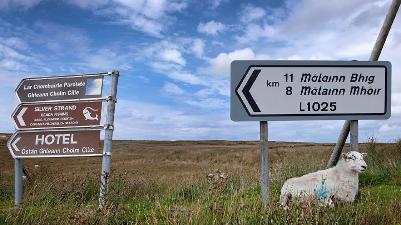 The quiet recovery of Ireland’s ancient tongue