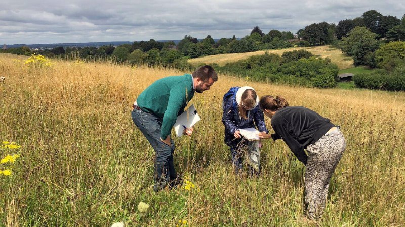 Conservationists are building highways for bugs&nbsp;&nbsp;