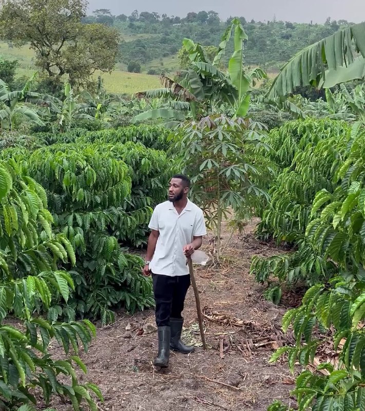 非洲开发者拥抱中国AI模型，为硅谷敲响警钟