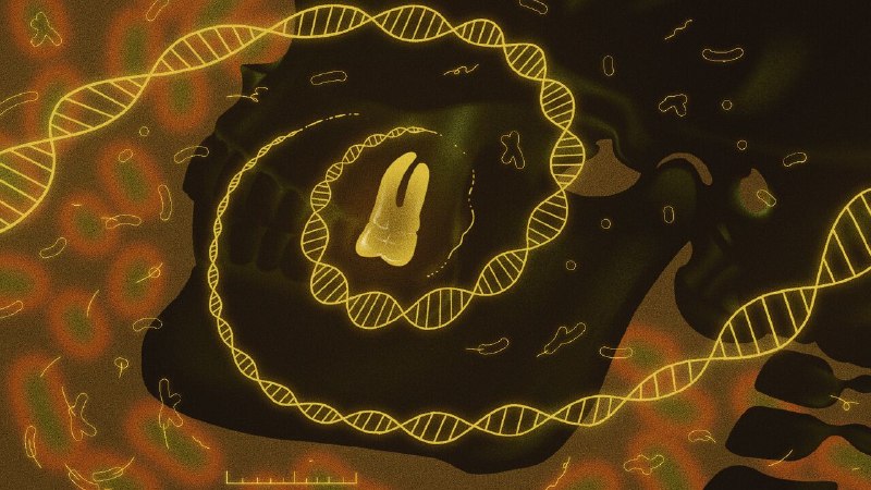 Ancient DNA is rewriting the history of plague