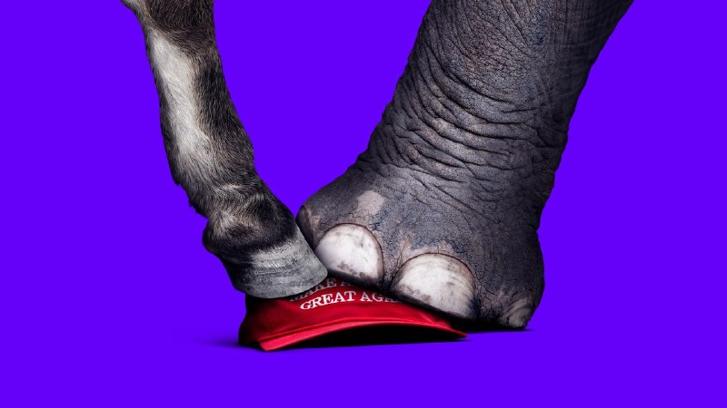 A Never Trumper and a Democrat on Beating MAGA for Good