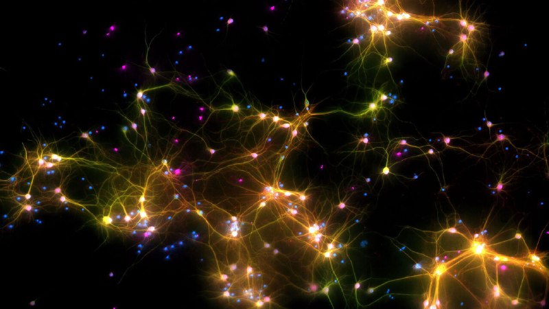 Why a startup is teaching human brain cells to play “Doom”