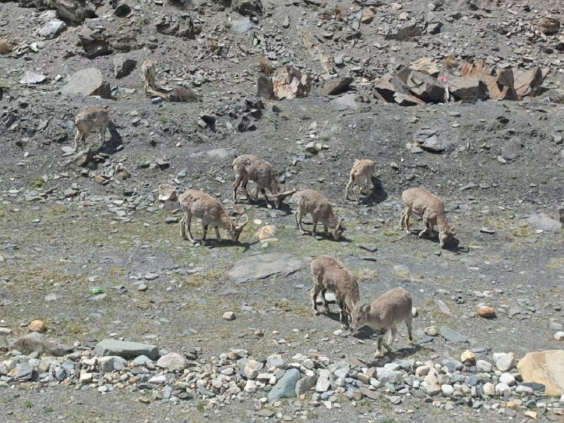2026 春日西藏游记 - 少数派