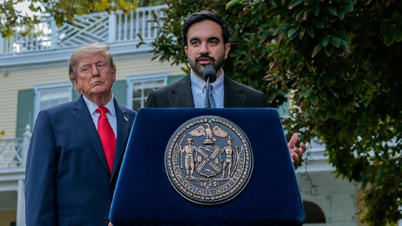 The Mayors Defending Democracy