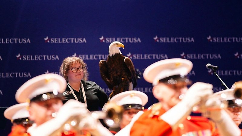 Foreign firms: have you considered America?&nbsp;