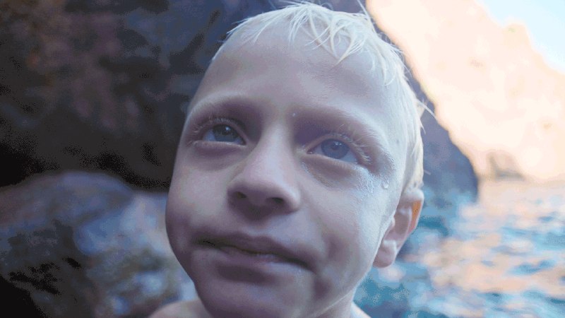 Highlights from Week Two of the New York Film Festival