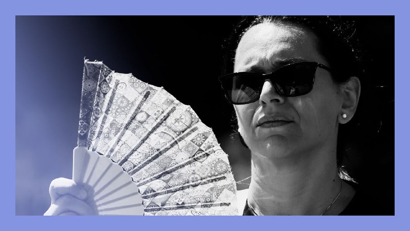 Taking the shine off: albedo and global temperatures