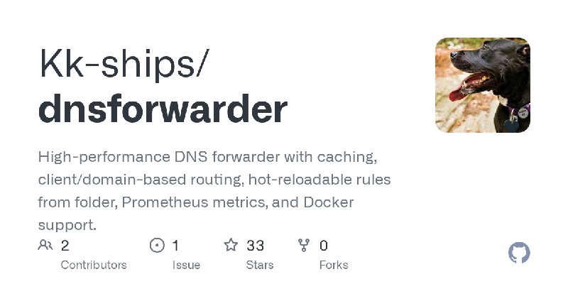 GitHub - Kk-ships/dnsforwarder: High-performance DNS forwarder with caching, client/domain-based routing, hot-reloadable rules…