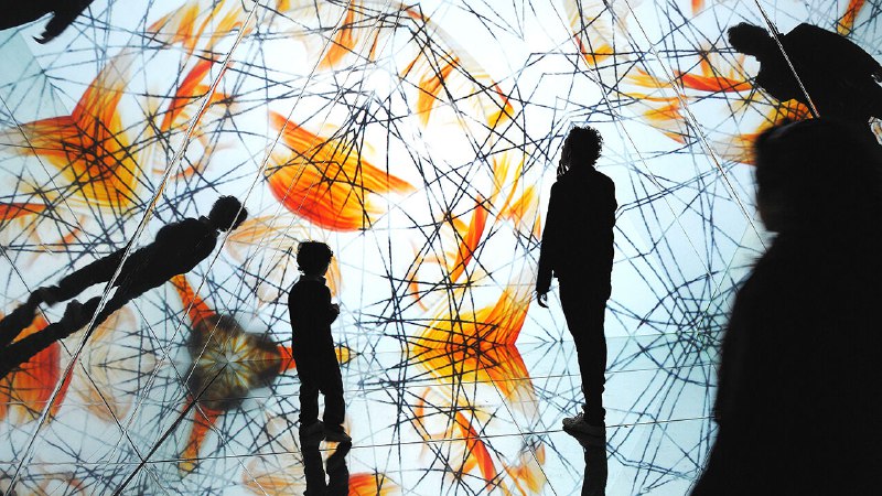 Solving the mystery of consciousness