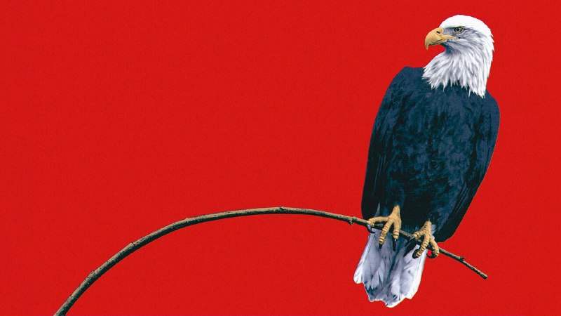 America is mighty—but becoming less dominant