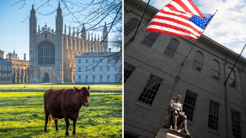 Why Cambridge and Cambridge need each other