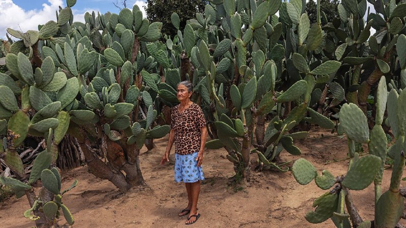 A tour of Brazil’s wildly polarised politics