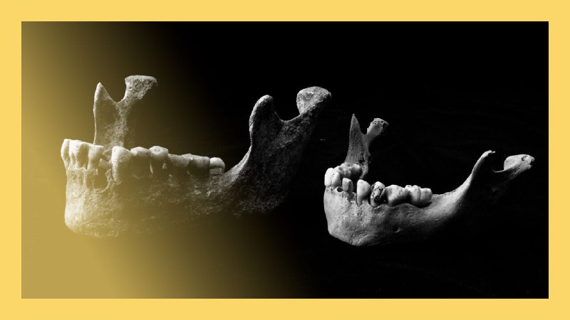 Ancient DNA is uncovering the history of plague