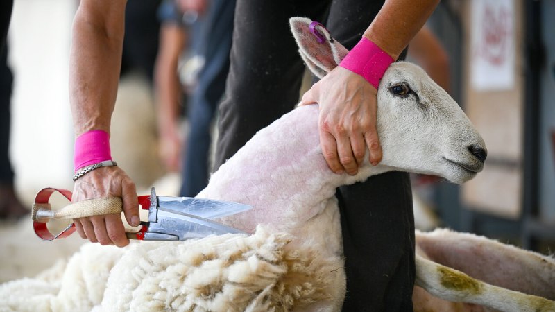 Britain’s government wants an important job to be done badly