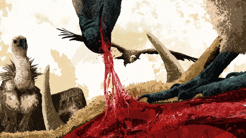 How do you replace 40 million dead vultures?