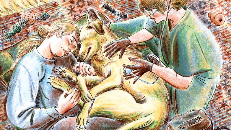 When Should You Say Goodbye to a Pet?