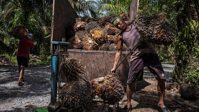 Indonesia’s erratic president grabs the country’s commodity exports
