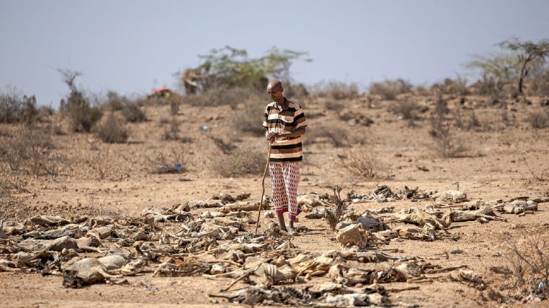 The coming El Niño could be the strongest ever recorded