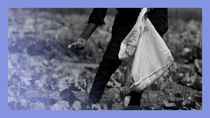 Food awakening: Iran’s ripple effect