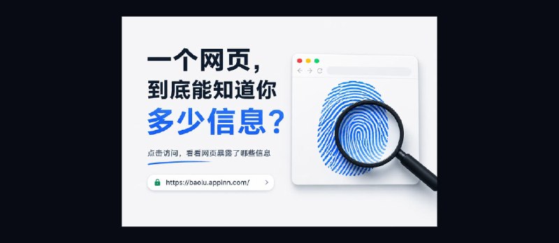 坦白了：一个普通网页，到底能知道你多少信息？ - 小众软件