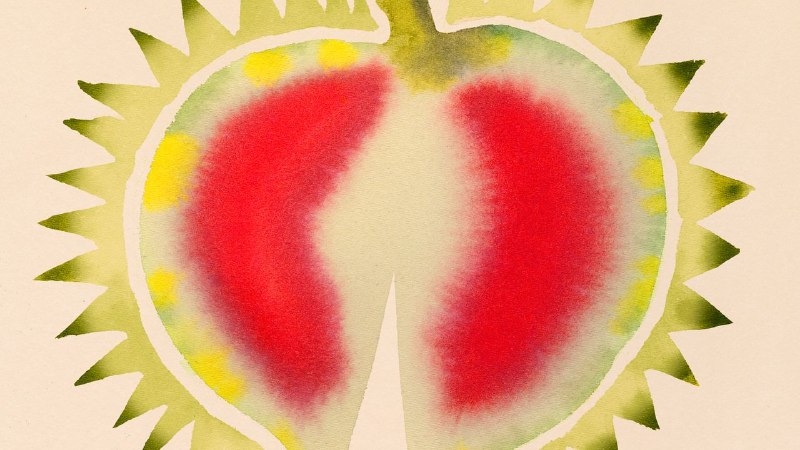 “Enough for Now,” by Cassandra Neyenesch