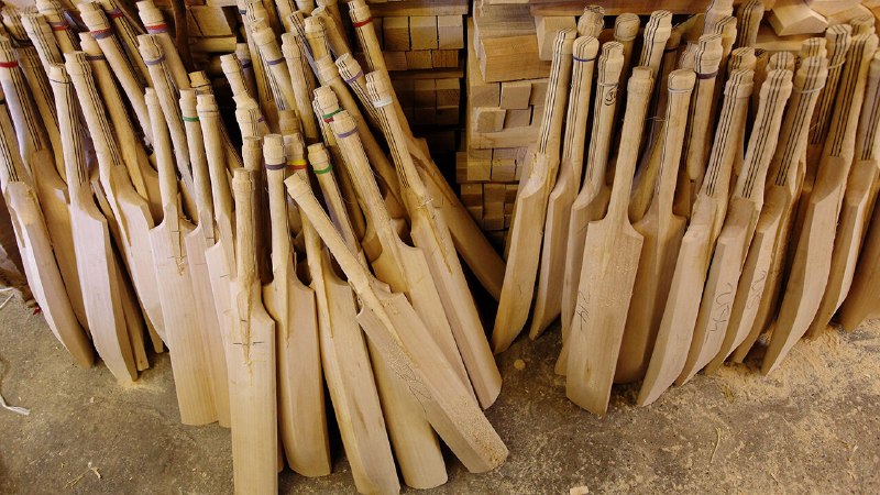 The surprising supply-chain choke point for cricket bats