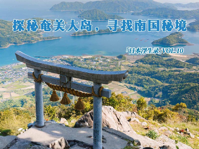 日本浮生录 11｜越过九州，走进奄美大岛的山海夏日 - 少数派