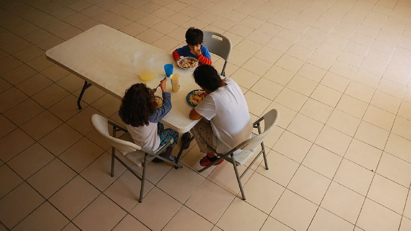 The world’s busiest migration route has gone quiet
