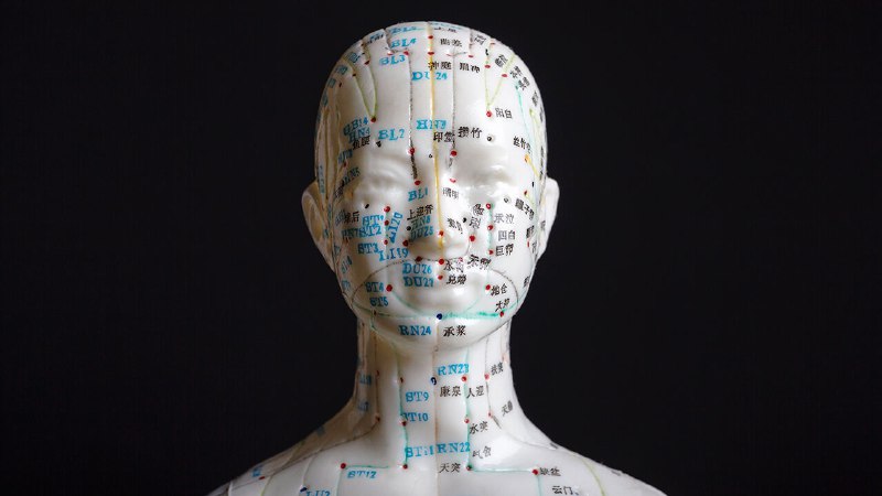 What’s the point of AI in acupuncture?