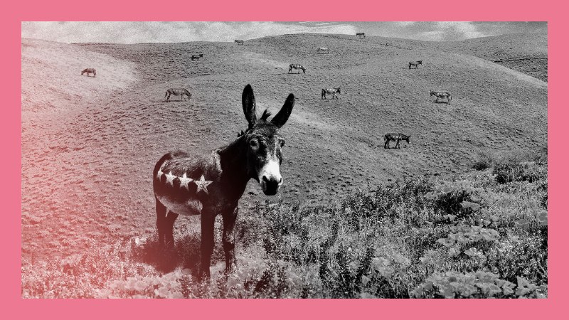 Why the Democrats’ disarray is a strength&nbsp;