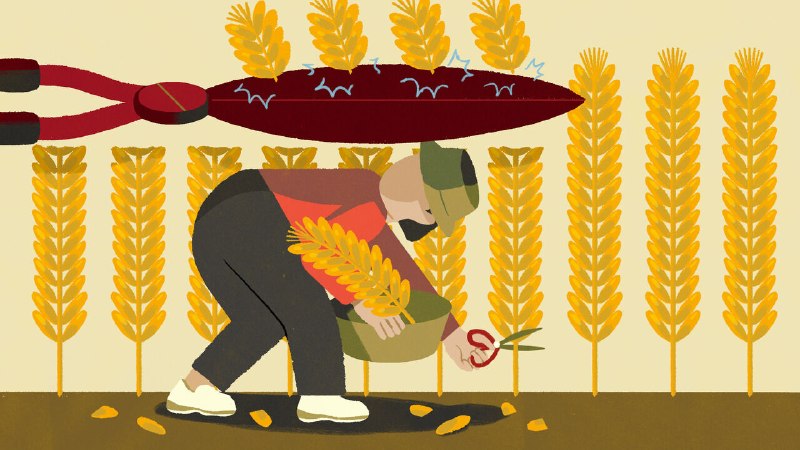 Chinese taxpayers now owe more. Is more owed to them?