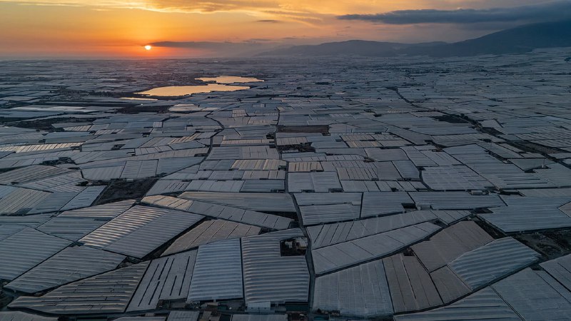 The plastic city that feeds half a billion