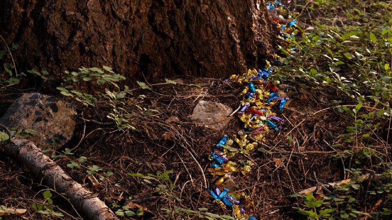 “Broken,” by Rabih Alameddine