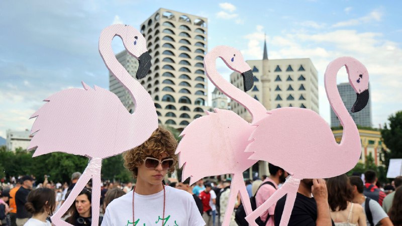 Albania’s flamingo protests target Donald Trump’s son-in-law