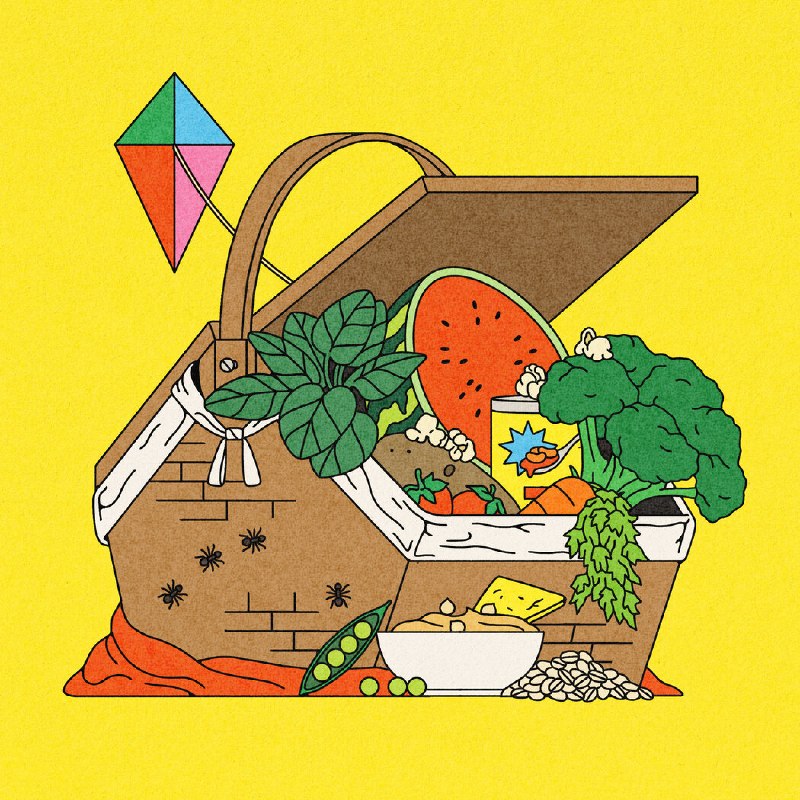 2026年上半年最佳健康饮食建议