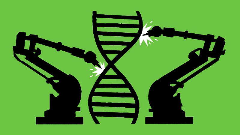 AI will make it possible to design and build organisms from scratch