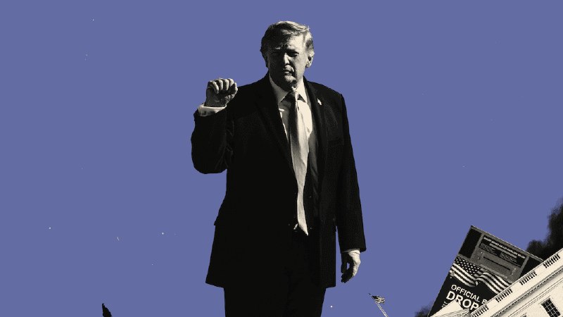Donald Trump After the Midterms