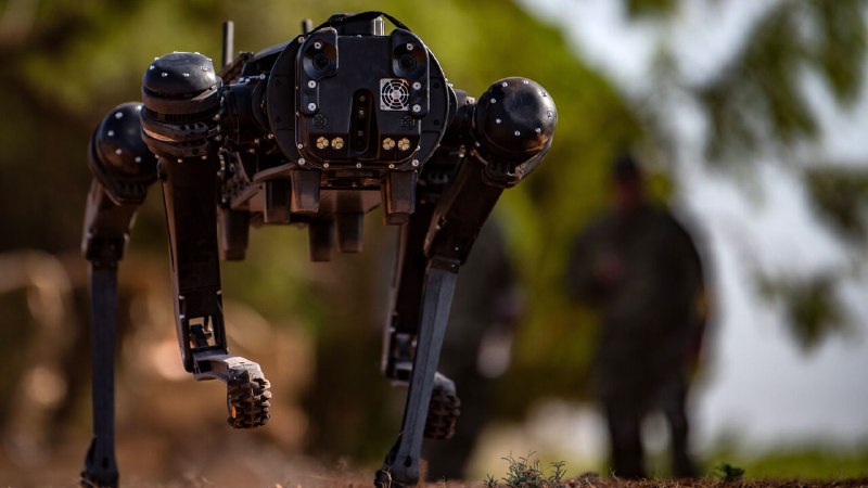 Companies are making big bucks from immigration crackdowns